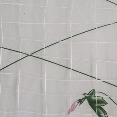 點(diǎn)擊查看詳細(xì)信息<br>標(biāo)題：純棉竹節(jié)紗 閱讀次數(shù)：2585