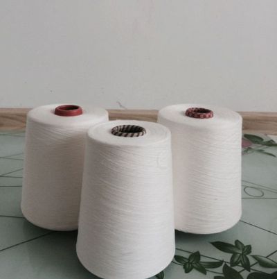 點擊查看詳細信息<br>標題：賽絡紡人棉紗 閱讀次數：2696