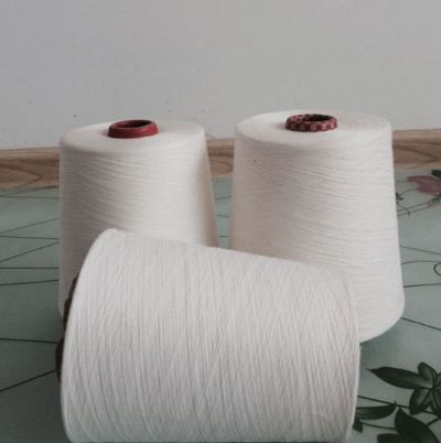 點擊查看詳細信息<br>標題：環(huán)錠紡人棉紗 閱讀次數：2655