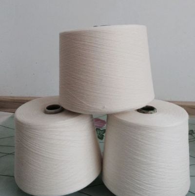 點(diǎn)擊查看詳細(xì)信息<br>標(biāo)題：腈棉混紡紗 閱讀次數(shù)：2679