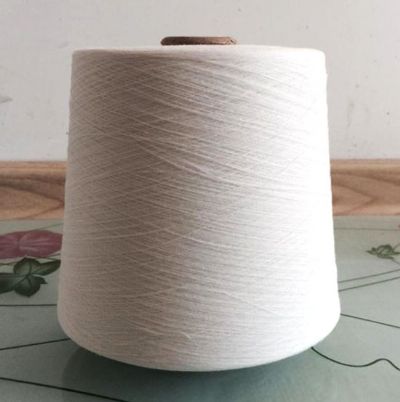 點擊查看詳細信息<br>標題：維綸紗 閱讀次數(shù)：3404
