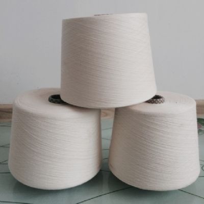 點擊查看詳細信息<br>標題：棉粘混紡紗 閱讀次數：4803