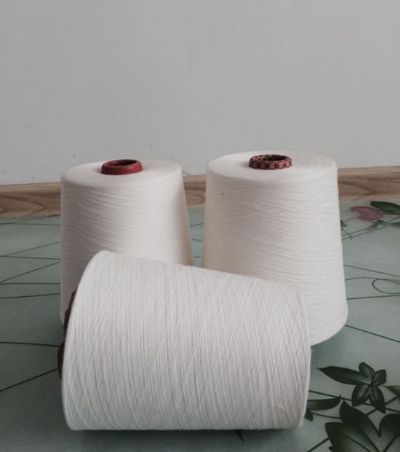 點擊查看詳細信息<br>標題：環(huán)錠紡滌綸紗 閱讀次數(shù)：9630
