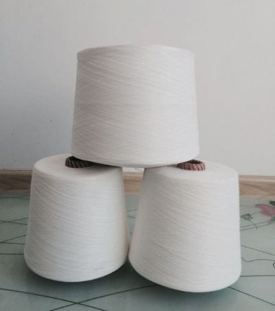 點擊查看詳細信息<br>標題：阻燃滌綸紗 閱讀次數：4627