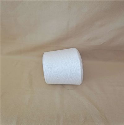 點(diǎn)擊查看詳細(xì)信息<br>標(biāo)題：阻燃滌綸紗的功能介紹 閱讀次數(shù)：960