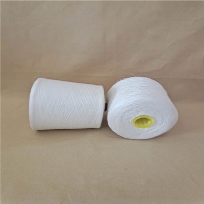 點擊查看詳細信息<br>標題：純棉合股紗 閱讀次數(shù)：861