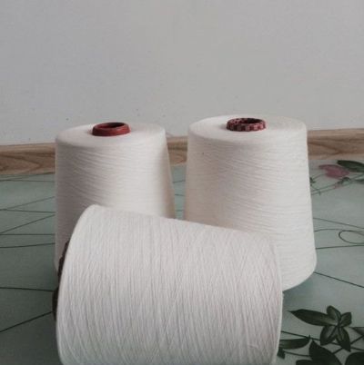 點(diǎn)擊查看詳細(xì)信息<br>標(biāo)題：緊密賽絡(luò)紡棉粘紗 閱讀次數(shù)：1296